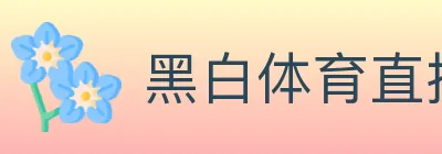 黑白体育直播 logo